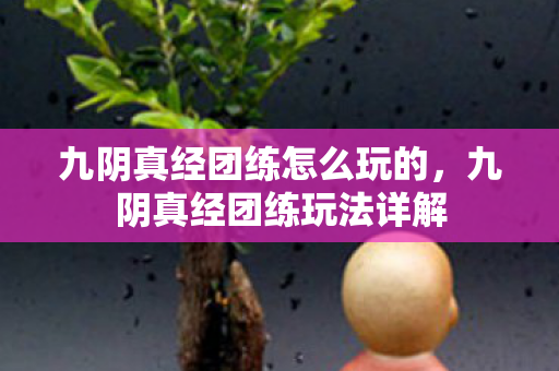 九阴真经团练怎么玩的,九阴真经团练玩法详解 九阴真经团练怎么玩的,九阴真经团练玩法详解