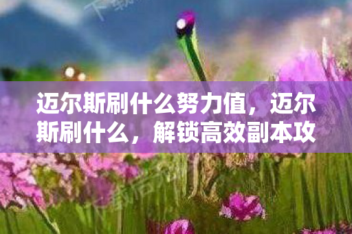 迈尔斯刷什么努力值,迈尔斯刷什么,解锁高效副本攻略 迈尔斯刷什么努力值,迈尔斯刷什么,解锁高效副本攻略