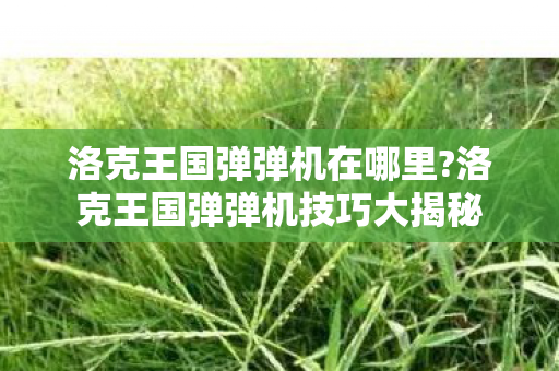 洛克王国弹弹机在哪里?洛克王国弹弹机技巧大揭秘 洛克王国弹弹机在哪里?洛克王国弹弹机技巧大揭秘