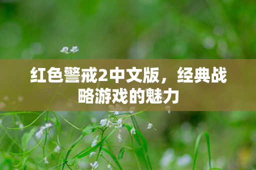 红色警戒2中文版，经典战略游戏的魅力