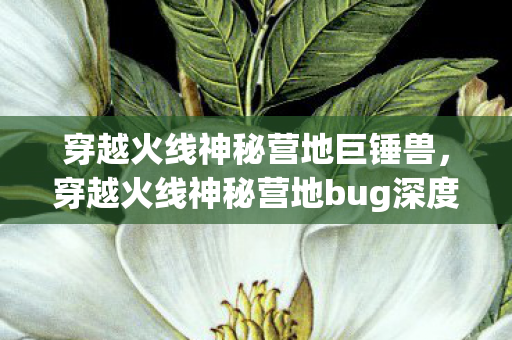 穿越火线神秘营地巨锤兽，穿越火线神秘营地bug深度解析，揭秘游戏内的未知漏洞