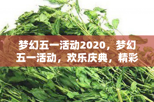 梦幻五一活动2020,梦幻五一活动,欢乐庆典,精彩不停歇 梦幻五一活动2020,梦幻五一活动,欢乐庆典,精彩不停歇