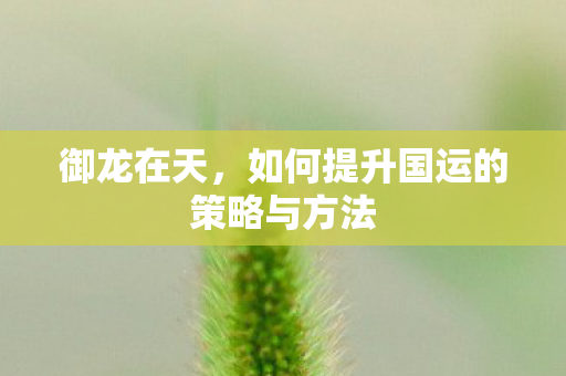 御龙在天,如何提升国运的策略与方法 御龙在天,如何提升国运的策略与方法