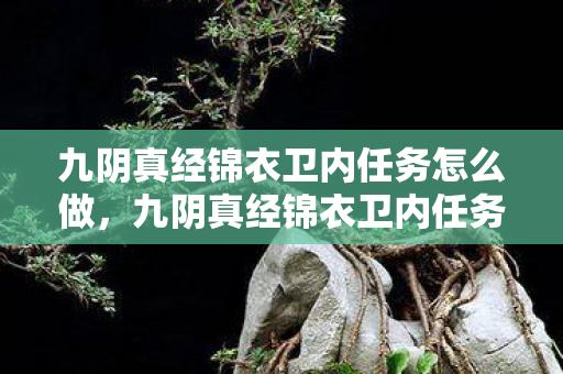 九阴真经锦衣卫内任务怎么做，九阴真经锦衣卫内任务，揭秘江湖中的隐秘挑战
