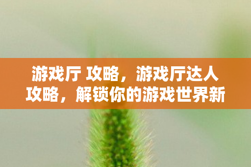 游戏厅 攻略，游戏厅达人攻略，解锁你的游戏世界新境界
