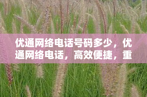 优通网络电话号码多少,优通网络电话,高效便捷,重塑通信新体验 优通网络电话号码多少,优通网络电话,高效便捷,重塑通信新体验