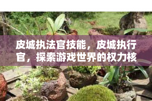 皮城执法官技能，皮城执行官，探索游戏世界的权力核心