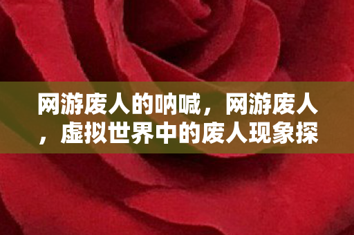 网游废人的呐喊,网游废人,虚拟世界中的废人现象探析 网游废人的呐喊,网游废人,虚拟世界中的废人现象探析
