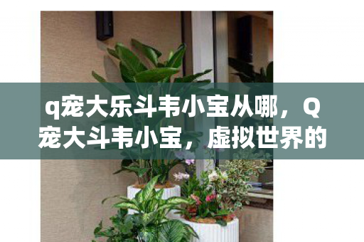 q宠大乐斗韦小宝从哪,Q宠大斗韦小宝,虚拟世界的欢乐对决 q宠大乐斗韦小宝从哪,Q宠大斗韦小宝,虚拟世界的欢乐对决