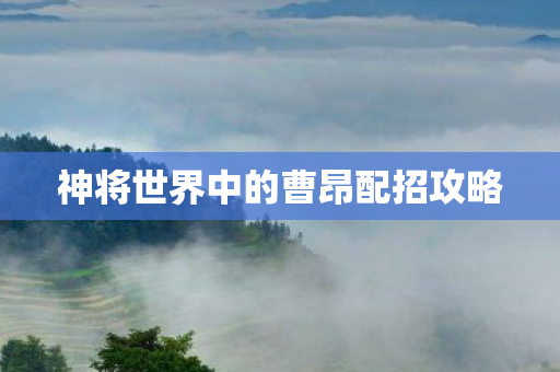 神将世界中的曹昂配招攻略 神将世界中的曹昂配招攻略