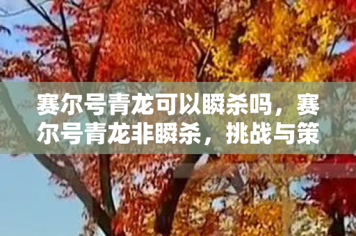 赛尔号青龙可以瞬杀吗,赛尔号青龙非瞬杀,挑战与策略的深度剖析 赛尔号青龙可以瞬杀吗,赛尔号青龙非瞬杀,挑战与策略的深度剖析
