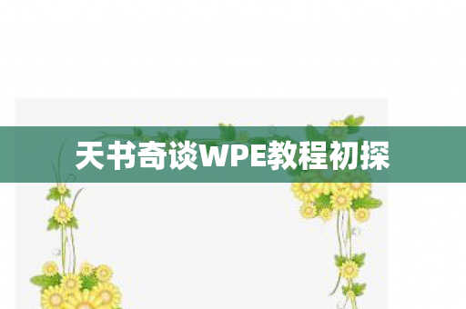 天书奇谈WPE教程初探 天书奇谈WPE教程初探