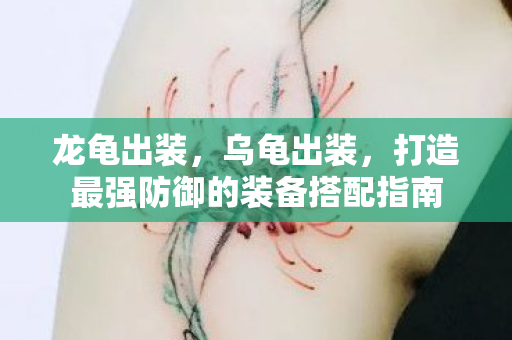 龙龟出装，乌龟出装，打造最强防御的装备搭配指南