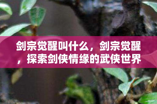 剑宗觉醒叫什么，剑宗觉醒，探索剑侠情缘的武侠世界