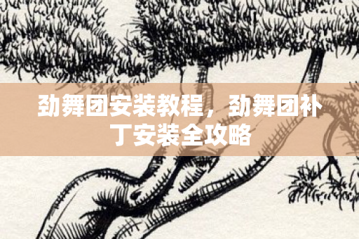 劲舞团安装教程,劲舞团补丁安装全攻略 劲舞团安装教程,劲舞团补丁安装全攻略