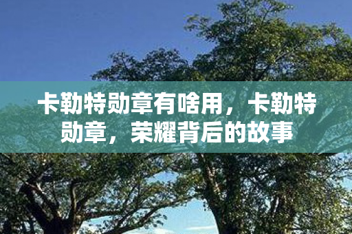 卡勒特勋章有啥用，卡勒特勋章，荣耀背后的故事