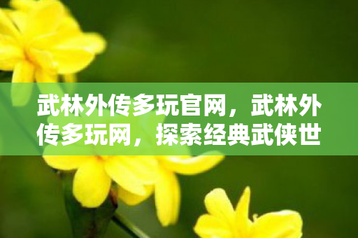 武林外传多玩官网,武林外传多玩网,探索经典武侠世界的多元玩法 武林外传多玩官网,武林外传多玩网,探索经典武侠世界的多元玩法