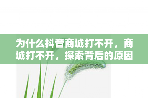 为什么抖音商城打不开,商城打不开,探索背后的原因与解决方案 为什么抖音商城打不开,商城打不开,探索背后的原因与解决方案