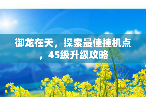 御龙在天，探索最佳挂机点，45级升级攻略