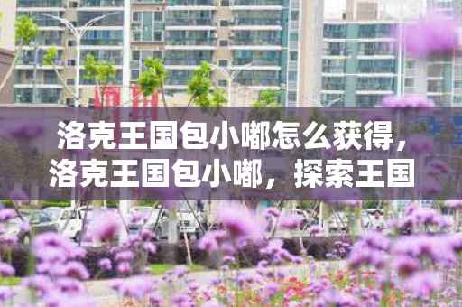 洛克王国包小嘟怎么获得，洛克王国包小嘟，探索王国，与萌宠共舞