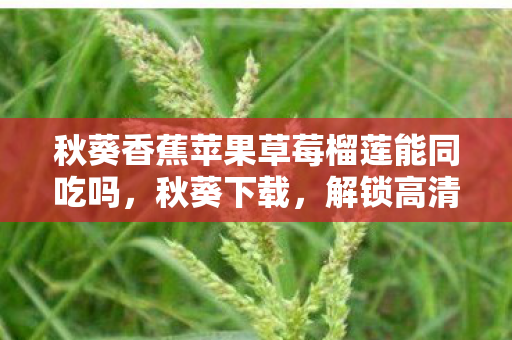秋葵香蕉苹果草莓榴莲能同吃吗,秋葵下载,解锁高清影视资源的便捷途径 秋葵香蕉苹果草莓榴莲能同吃吗,秋葵下载,解锁高清影视资源的便捷途径