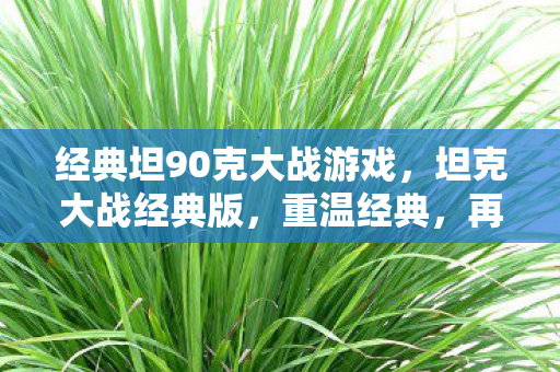 经典坦90克大战游戏，坦克大战经典版，重温经典，再燃战火
