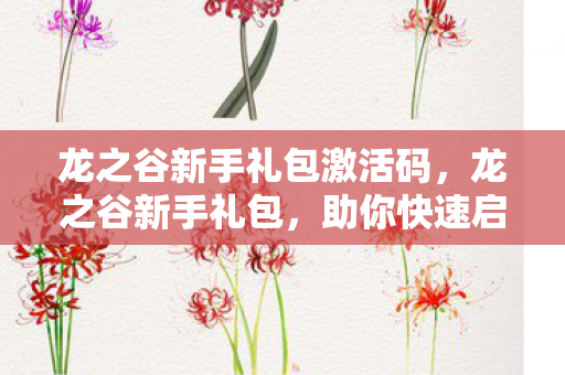 龙之谷新手礼包激活码，龙之谷新手礼包，助你快速启程的梦幻之旅