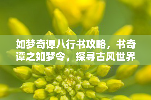 如梦奇谭八行书攻略，书奇谭之如梦令，探寻古风世界的奇妙之旅