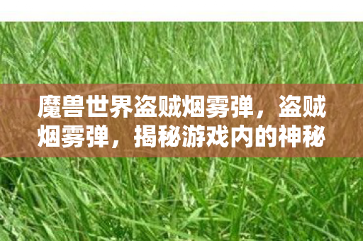 魔兽世界盗贼烟雾弹,盗贼烟雾弹,揭秘游戏内的神秘战术与心理战术 魔兽世界盗贼烟雾弹,盗贼烟雾弹,揭秘游戏内的神秘战术与心理战术