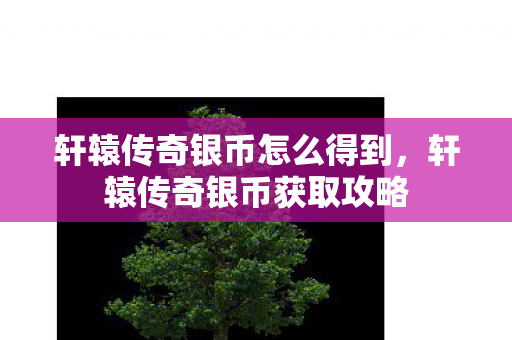 轩辕传奇银币怎么得到，轩辕传奇银币获取攻略