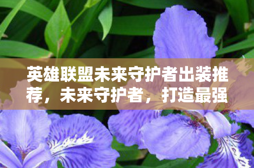 英雄联盟未来守护者出装推荐,未来守护者,打造最强战斗力的出装指南 英雄联盟未来守护者出装推荐,未来守护者,打造最强战斗力的出装指南