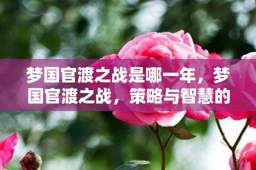 梦国官渡之战是哪一年,梦国官渡之战,策略与智慧的巅峰对决 梦国官渡之战是哪一年,梦国官渡之战,策略与智慧的巅峰对决