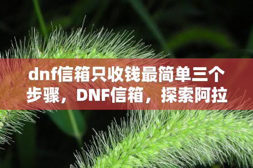 dnf信箱只收钱最简单三个步骤,DNF信箱,探索阿拉德大陆的秘密通信 dnf信箱只收钱最简单三个步骤,DNF信箱,探索阿拉德大陆的秘密通信
