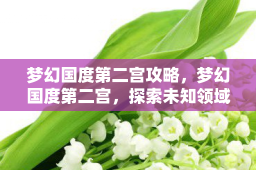 梦幻国度第二宫攻略,梦幻国度第二宫,探索未知领域的奇幻之旅 梦幻国度第二宫攻略,梦幻国度第二宫,探索未知领域的奇幻之旅