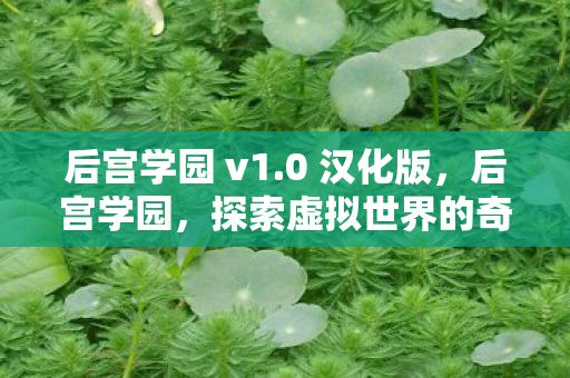 后宫学园 v1.0 汉化版，后宫学园，探索虚拟世界的奇妙之旅