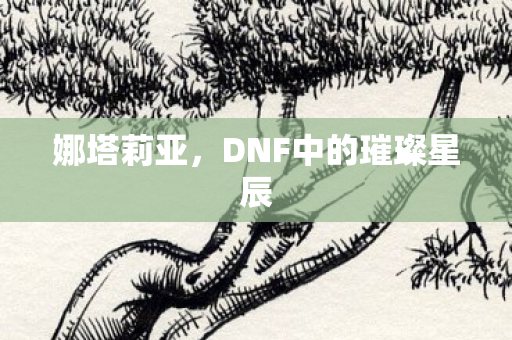 娜塔莉亚,DNF中的璀璨星辰 娜塔莉亚,DNF中的璀璨星辰