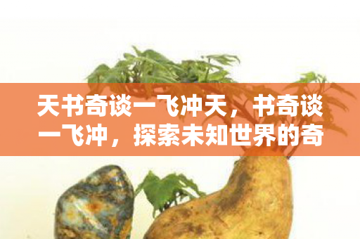 天书奇谈一飞冲天,书奇谈一飞冲,探索未知世界的奇幻之旅 天书奇谈一飞冲天,书奇谈一飞冲,探索未知世界的奇幻之旅