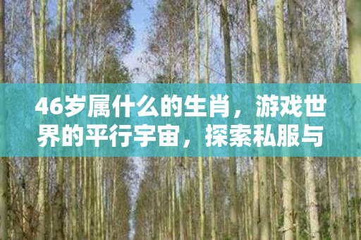 46岁属什么的生肖,游戏世界的平行宇宙,探索私服与官方服务器的独特魅力 46岁属什么的生肖,游戏世界的平行宇宙,探索私服与官方服务器的独特魅力