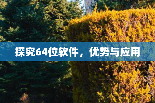 探究64位软件，优势与应用