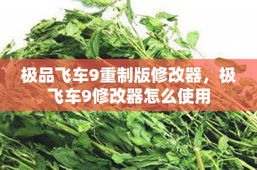 极品飞车9重制版修改器，极飞车9修改器怎么使用