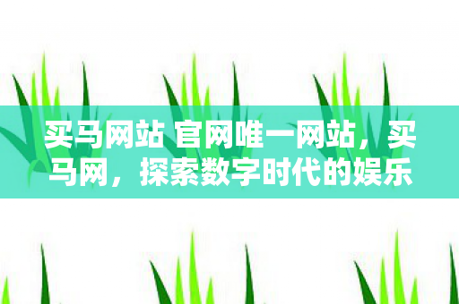 买马网站 官网唯一网站，买马网，探索数字时代的娱乐新纪元