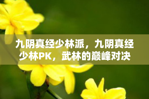 九阴真经少林派，九阴真经少林PK，武林的巅峰对决