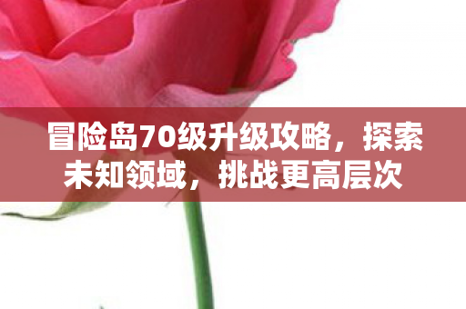 冒险岛70级升级攻略,探索未知领域,挑战更高层次 冒险岛70级升级攻略,探索未知领域,挑战更高层次
