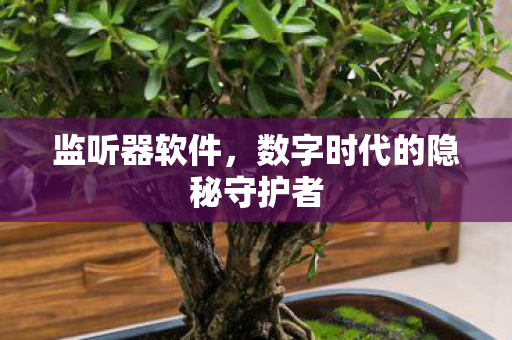 监听器软件,数字时代的隐秘守护者 监听器软件,数字时代的隐秘守护者