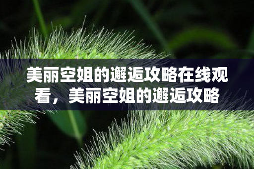 美丽空姐的邂逅攻略在线观看，美丽空姐的邂逅攻略