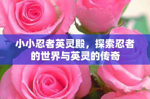 小小忍者英灵殿,探索忍者的世界与英灵的传奇 小小忍者英灵殿,探索忍者的世界与英灵的传奇