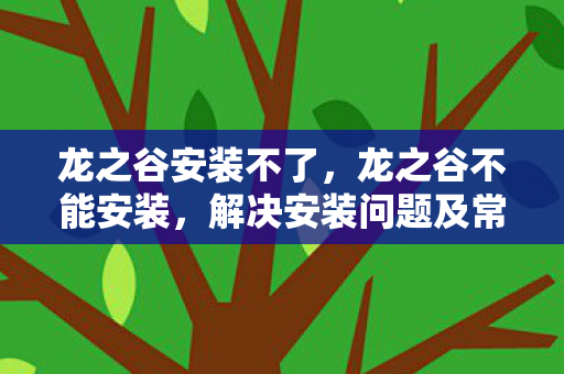 龙之谷安装不了,龙之谷不能安装,解决安装问题及常见误区 龙之谷安装不了,龙之谷不能安装,解决安装问题及常见误区