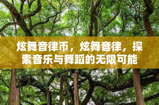 炫舞音律币，炫舞音律，探索音乐与舞蹈的无限可能