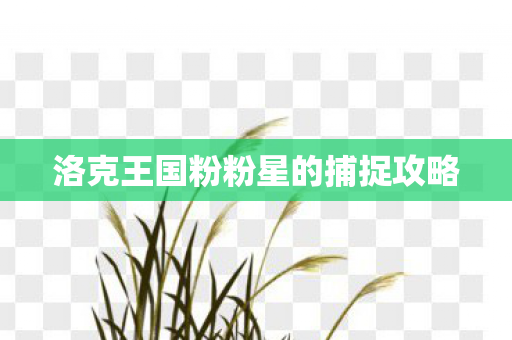 洛克王国粉粉星的捕捉攻略 洛克王国粉粉星的捕捉攻略