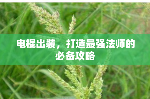 电棍出装,打造最强法师的必备攻略 电棍出装,打造最强法师的必备攻略